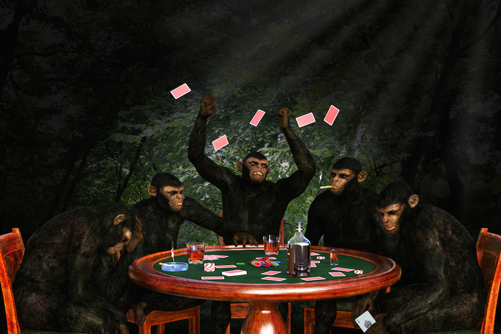 monkeys playing poker