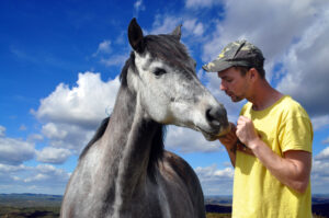 A horse and a man stand close together.