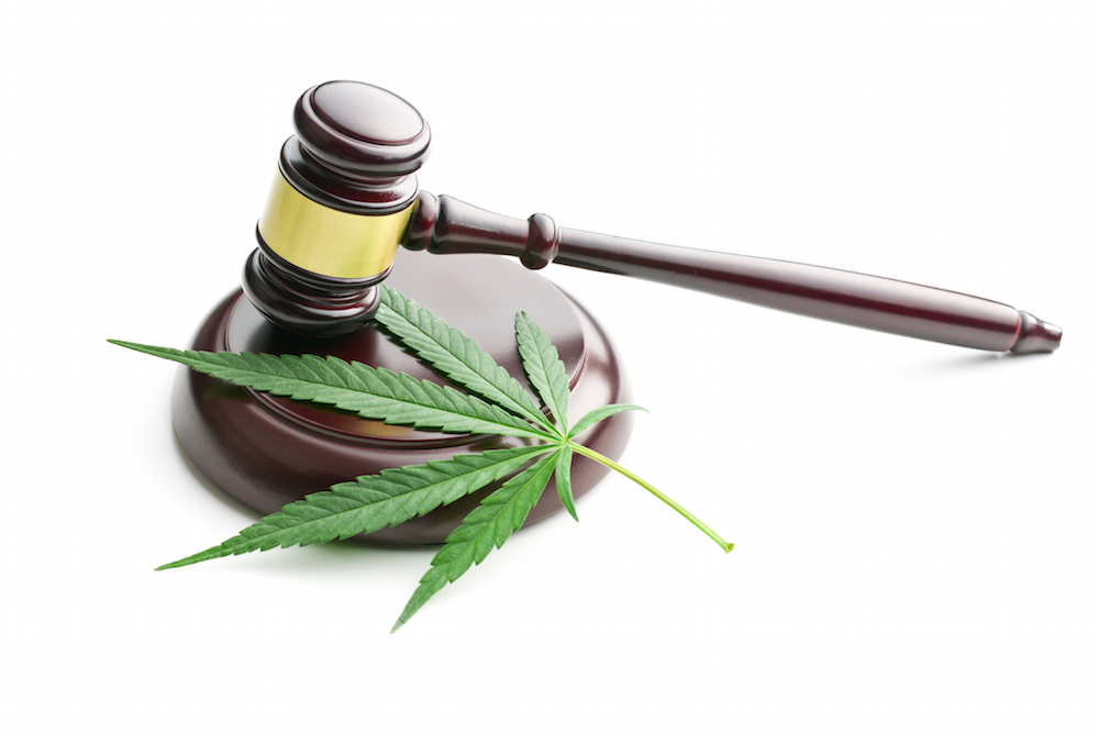 cannabis leaf and gavel