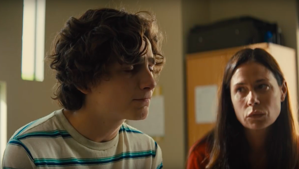 Timothee Chalamet portrays a boy battling addiction in Beautiful Boy