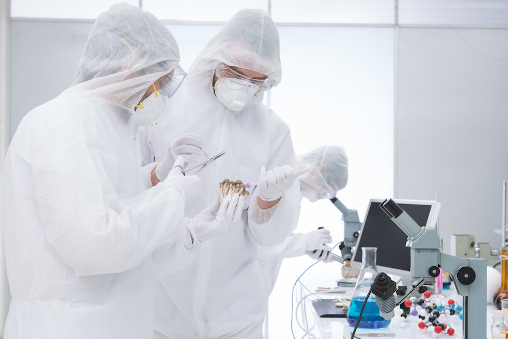 Scientists studying psilocybin in a lab.