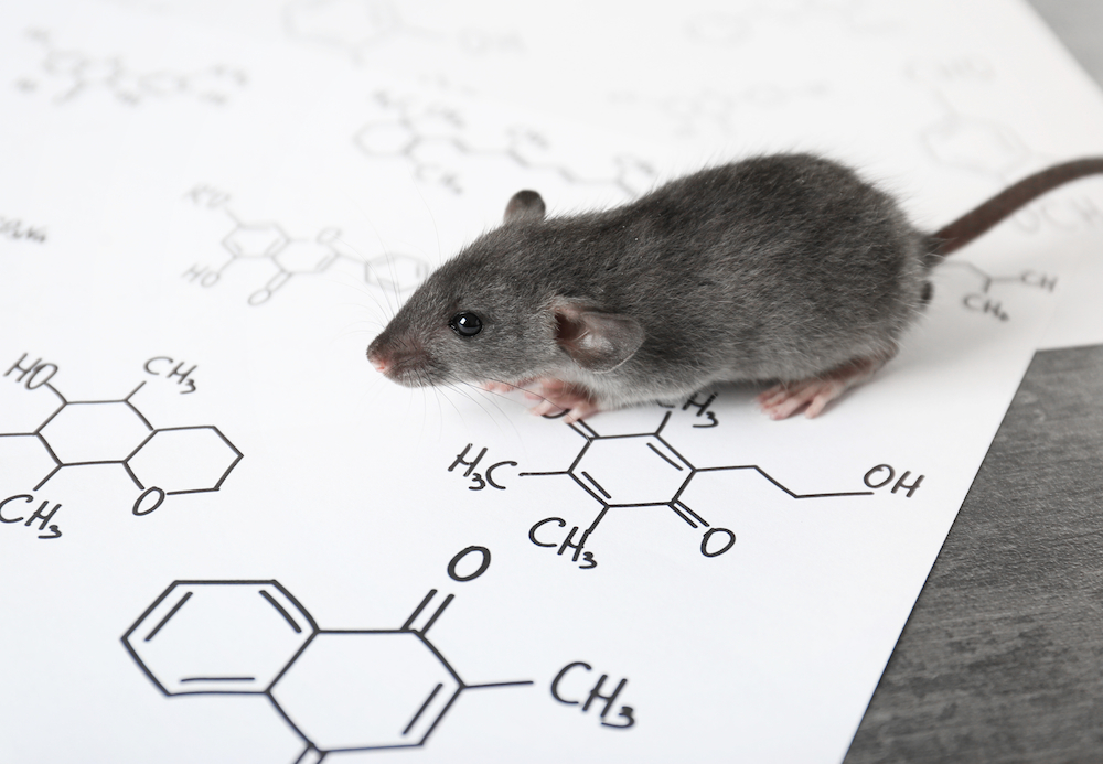 deleting cocaine memories in rats