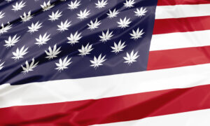 The national flag of United States with Marijuana leafs as stars, closeup illustration. American cannabis legalization concept.