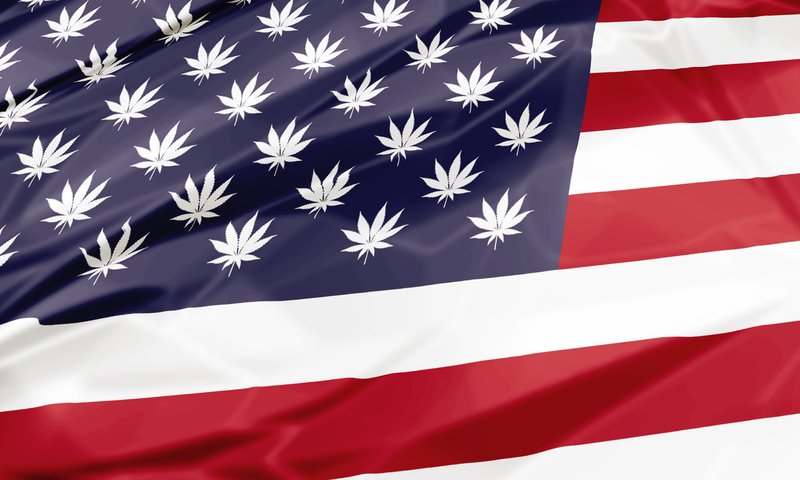 The national flag of United States with Marijuana leafs as stars, closeup illustration. American cannabis legalization concept.