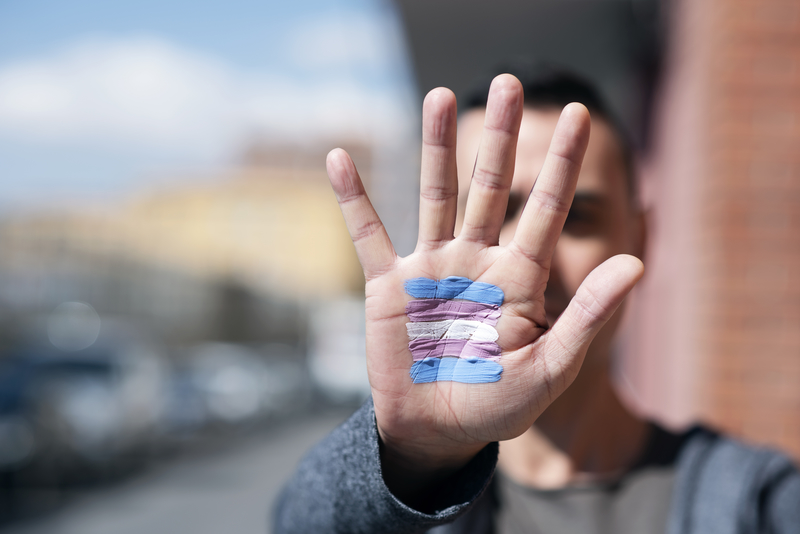 Person holding palm out, with transgender flag painted on palm.