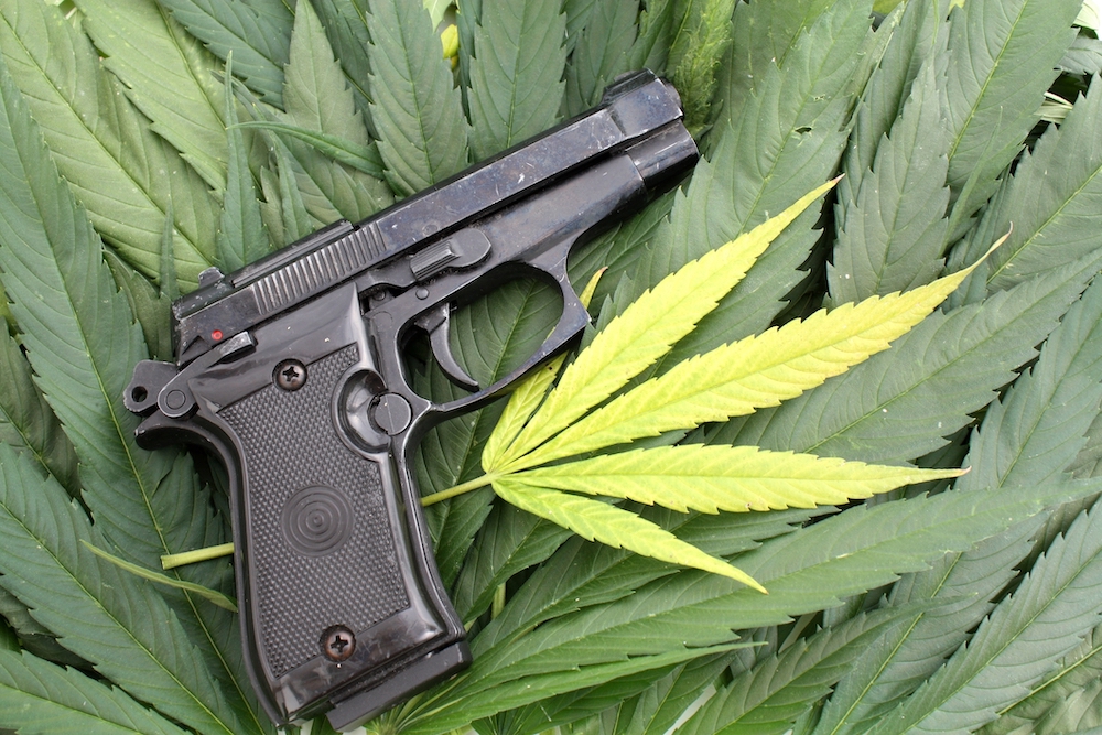 gun lying on medical marijuana leaves
