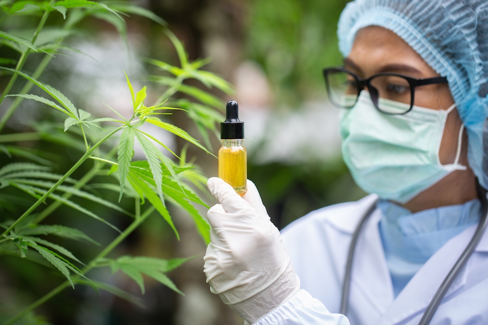 scientists handling CBD product