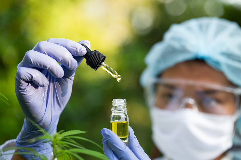 Masked researcher studies CBD