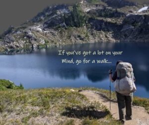 Book cover for "Everything You Ever Taught Me"